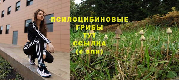 марки nbome Белокуриха