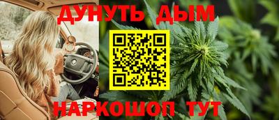 гидра Берёзовский
