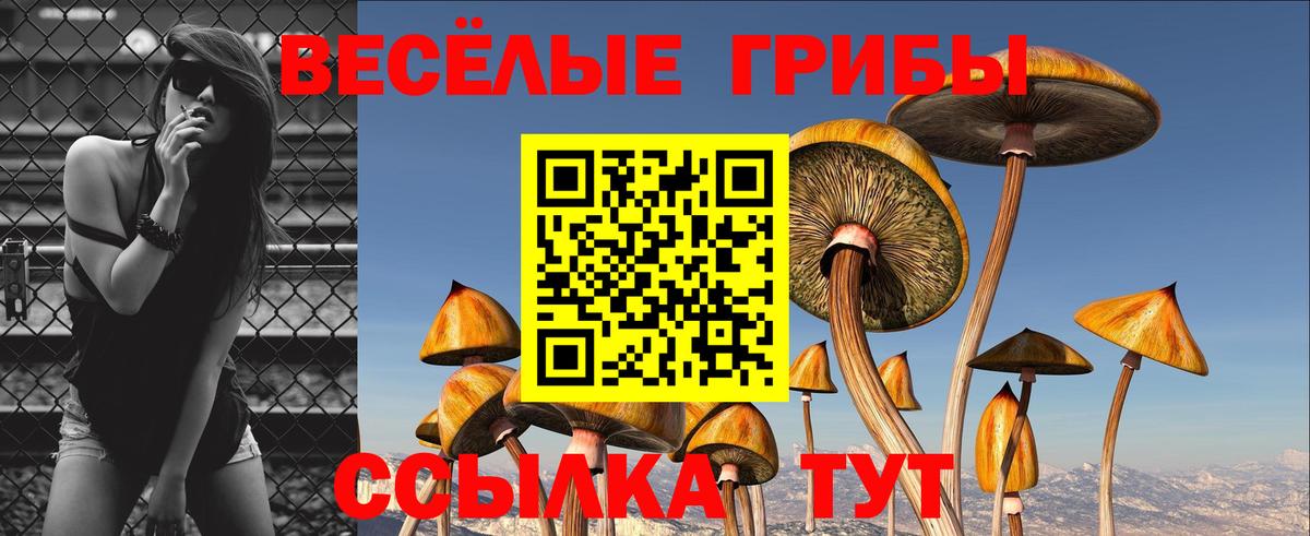 Галлюциногенные грибы Cubensis  Псилоцибиновые грибы MAGIC MUSHROOMS  где можно купить наркотик  Воскресенск 