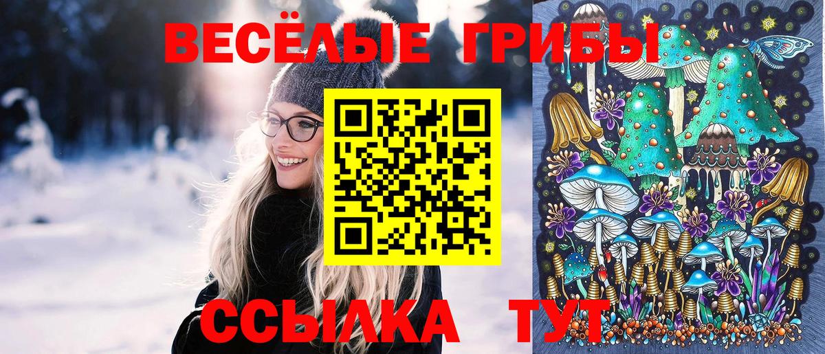 Галлюциногенные грибы GOLDEN TEACHER Воскресенск