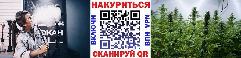 Бошки марихуана сатива  Воскресенск 